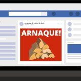 Attention à la vente de bois en ligne